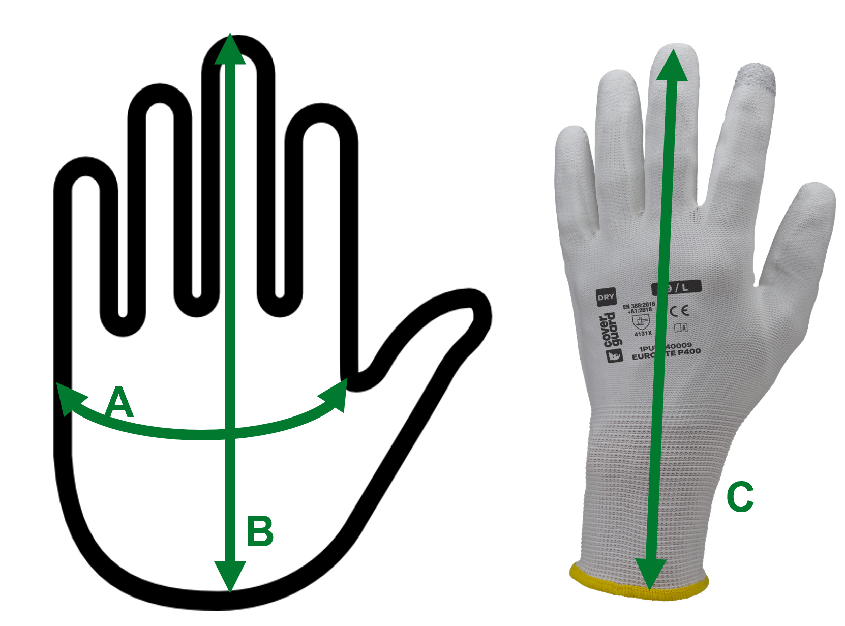 Ilustración de las dimensiones de los guantes