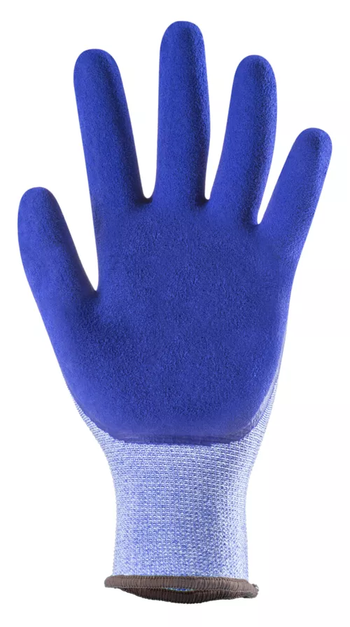 Première photo du produit