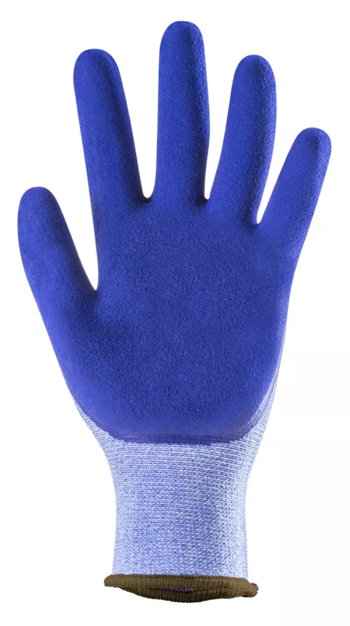 Primera foto del producto