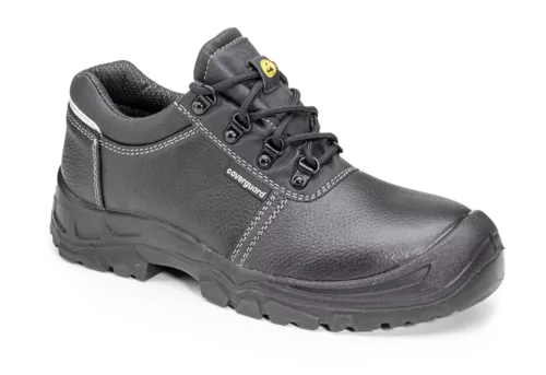 Coverguard safety shoes best sale
