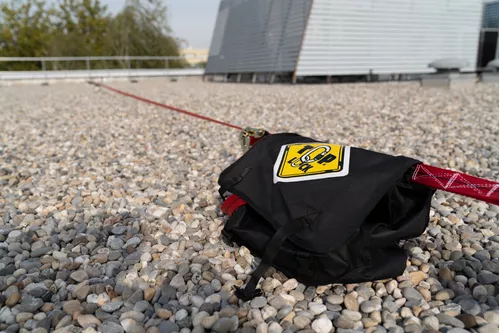 Primera foto del producto